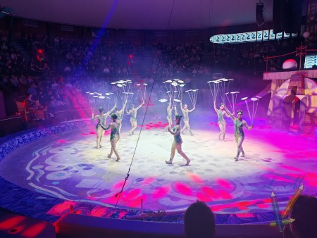 Nyolcadikos diákjaink a Fővárosi Nagycirkuszban: Holle anyó új köntösben