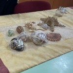 Merülj velünk! program