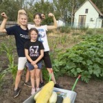 Iskolakert Iskolakert